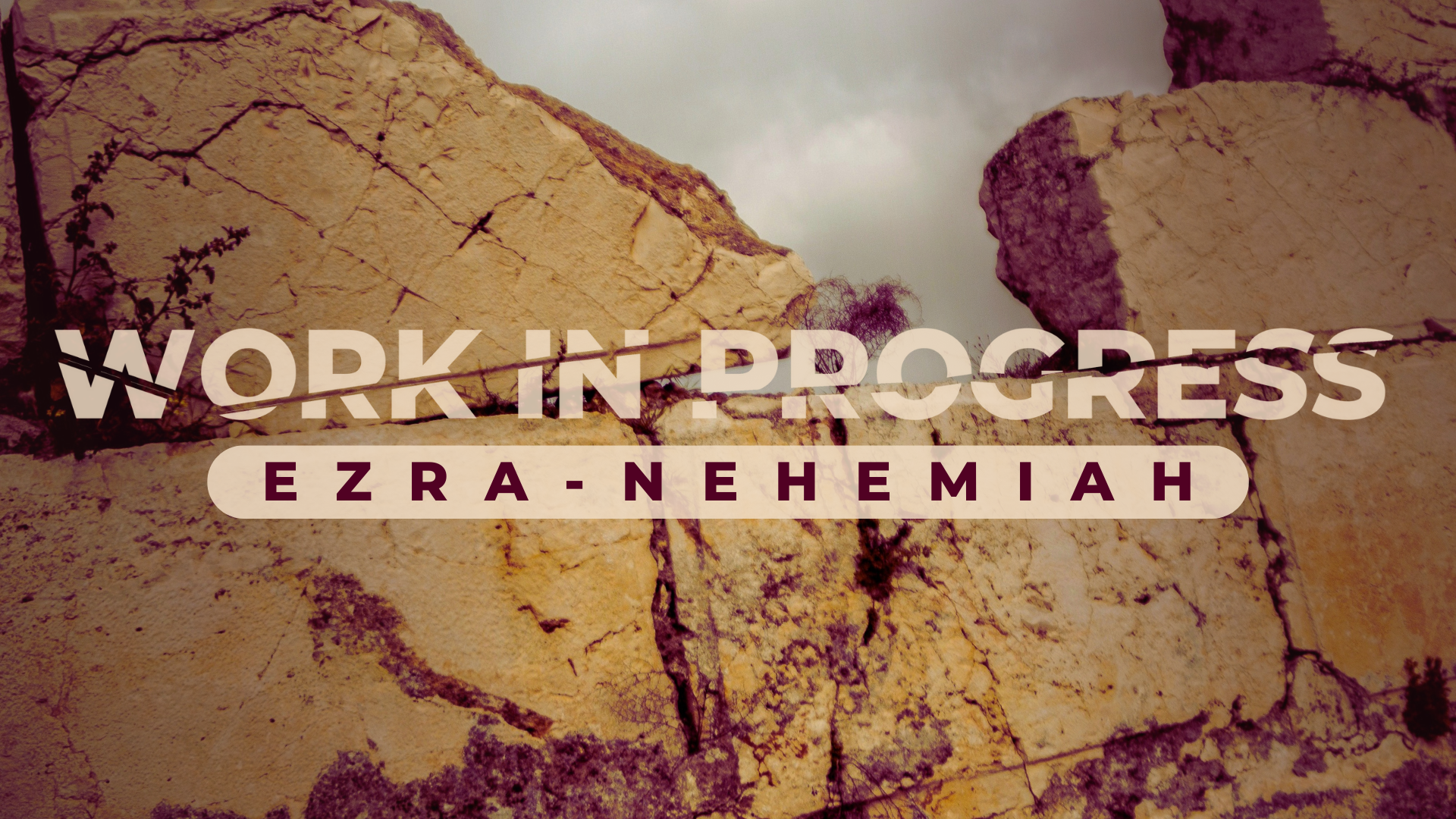 Ezra-Nehemiah (5)